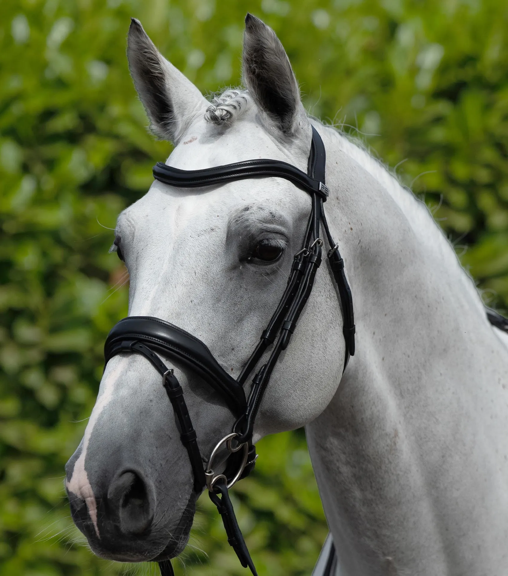 Rizzo Anatomic Snaffle Bridle with Flash Black