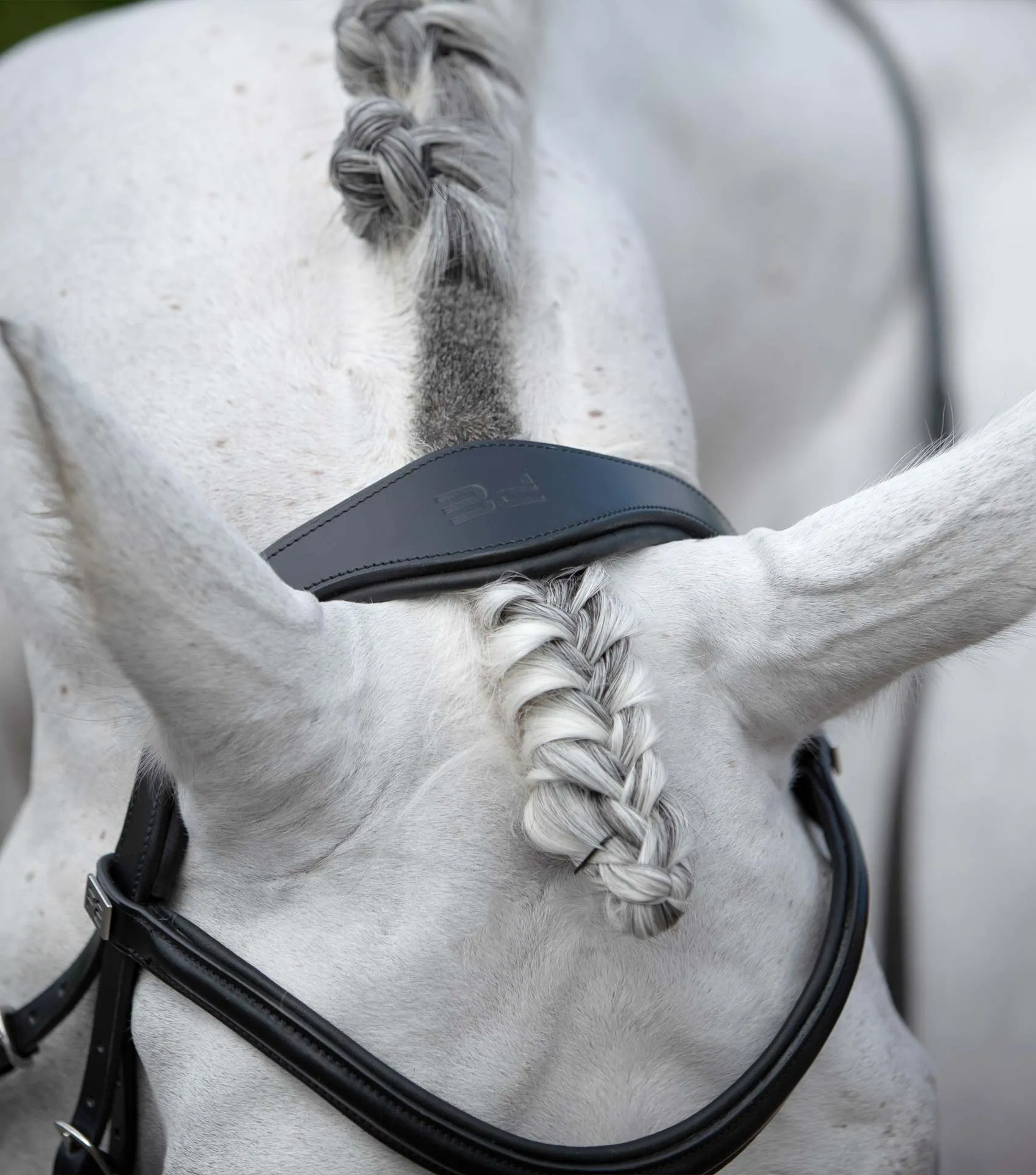 Rizzo Anatomic Snaffle Bridle with Flash Black