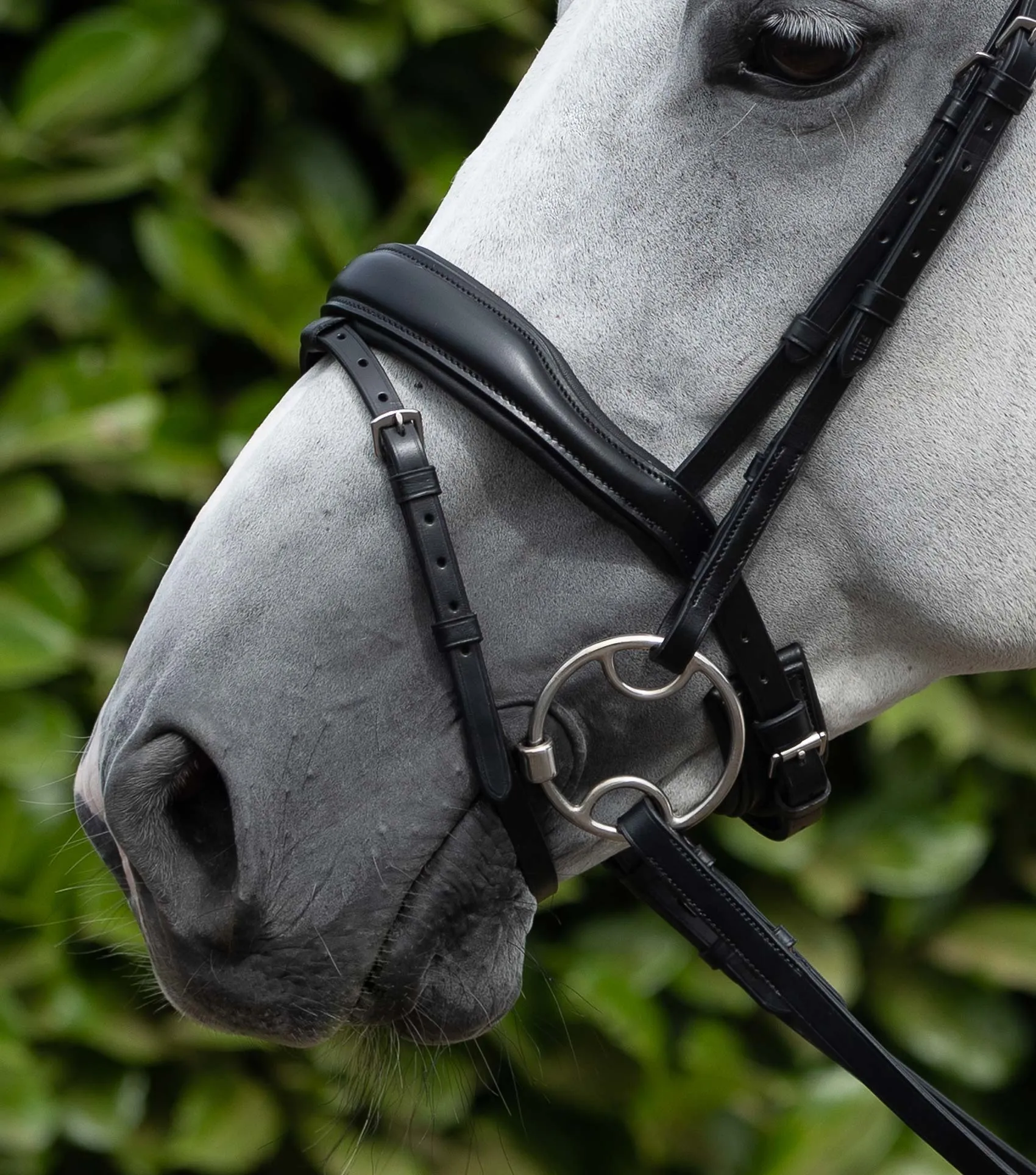 Rizzo Anatomic Snaffle Bridle with Flash Black