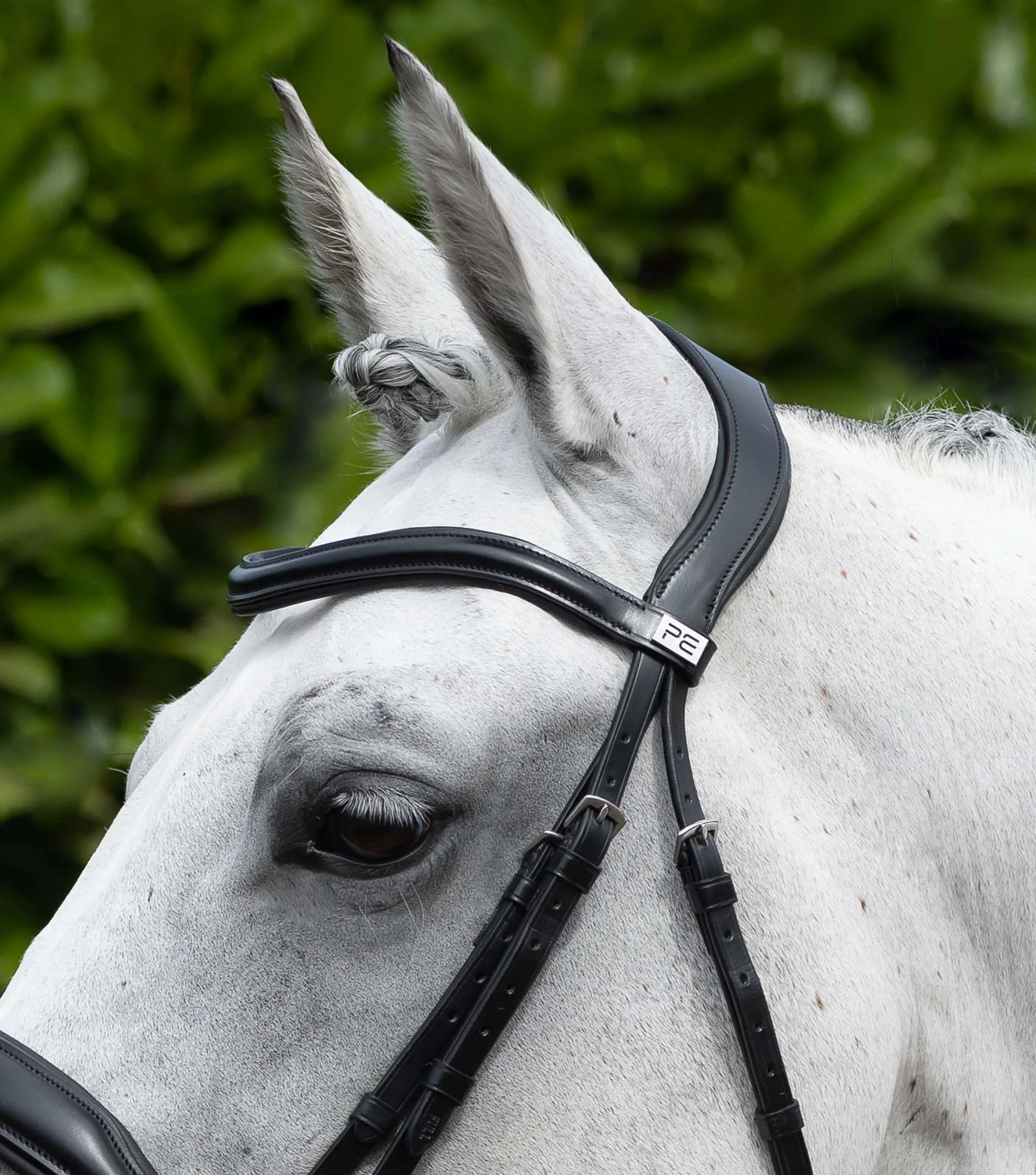 Rizzo Anatomic Snaffle Bridle with Flash Black