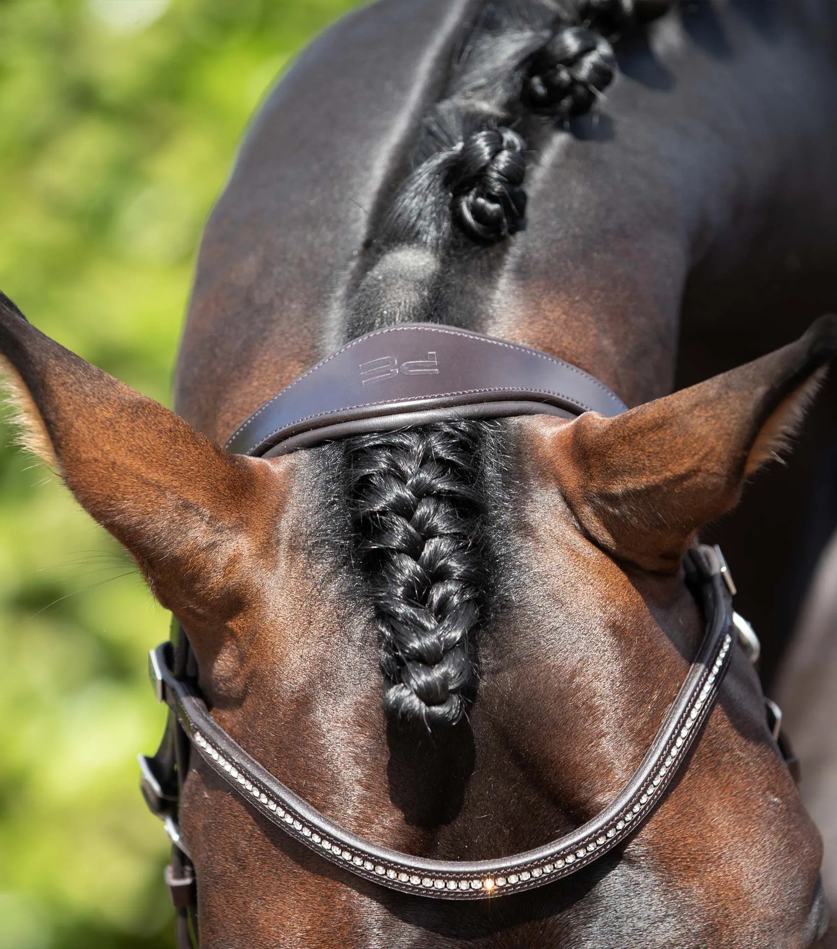 Stellazio Anatomic Snaffle Bridle with Flash Brown