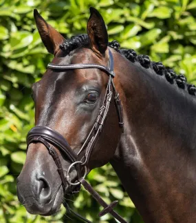 Stellazio Anatomic Snaffle Bridle with Flash Brown