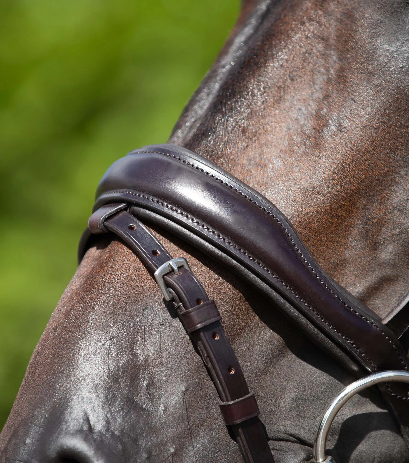 Stellazio Anatomic Snaffle Bridle with Flash Brown