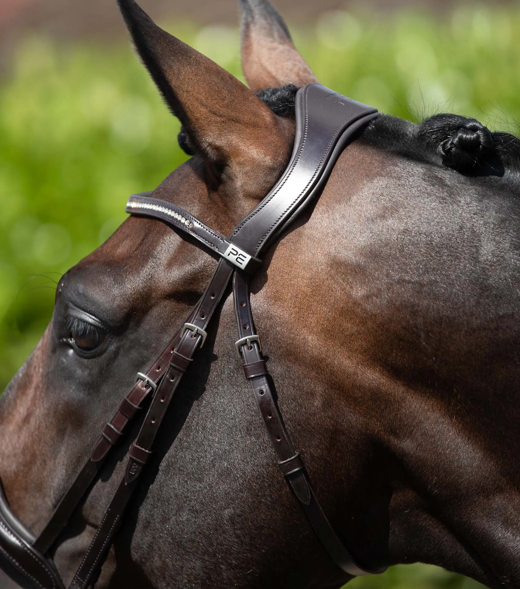 Stellazio Anatomic Snaffle Bridle with Flash Brown